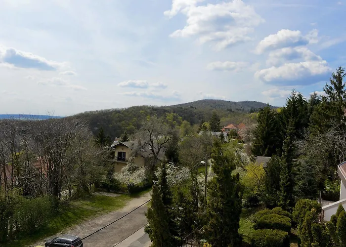 Hotel Budai 3*