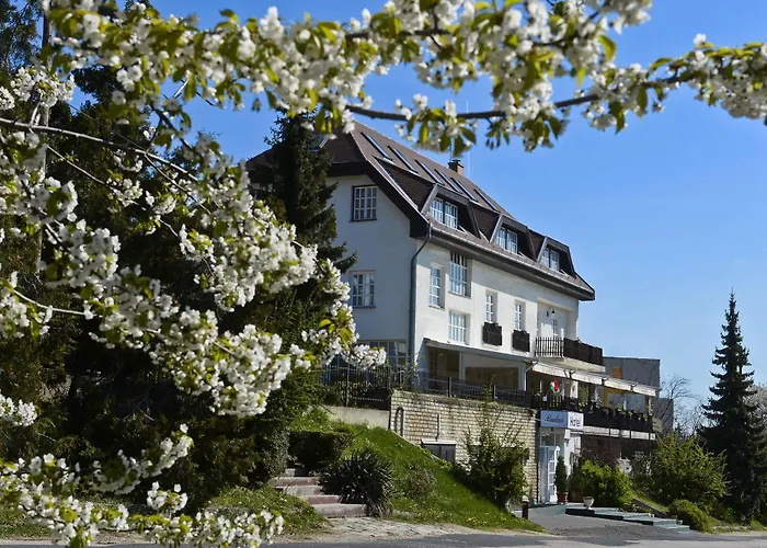 Hotel Budai 3*